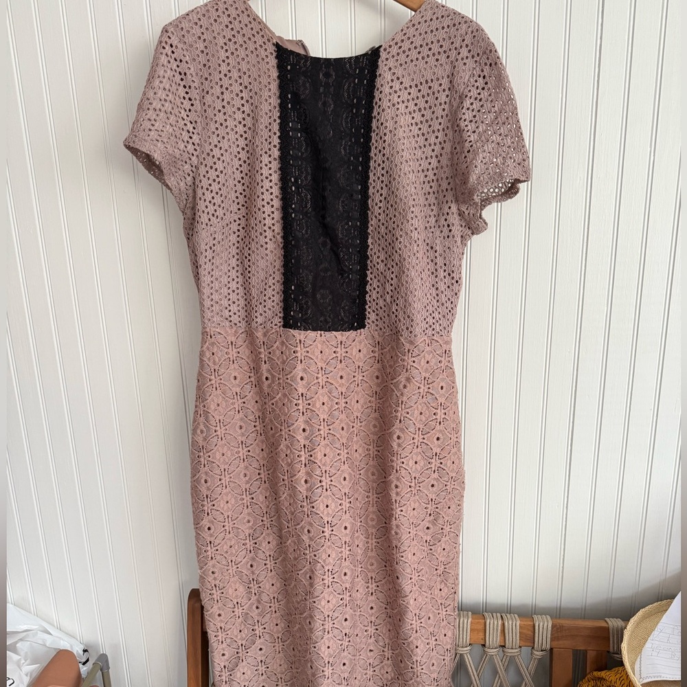 New York and Company Mauve Lace Dress Size 12